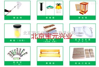 By腊叶植物标本制作材料、生物夏令营标本活动