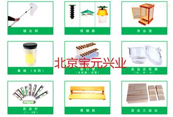 by叶笼、昆虫叶笼